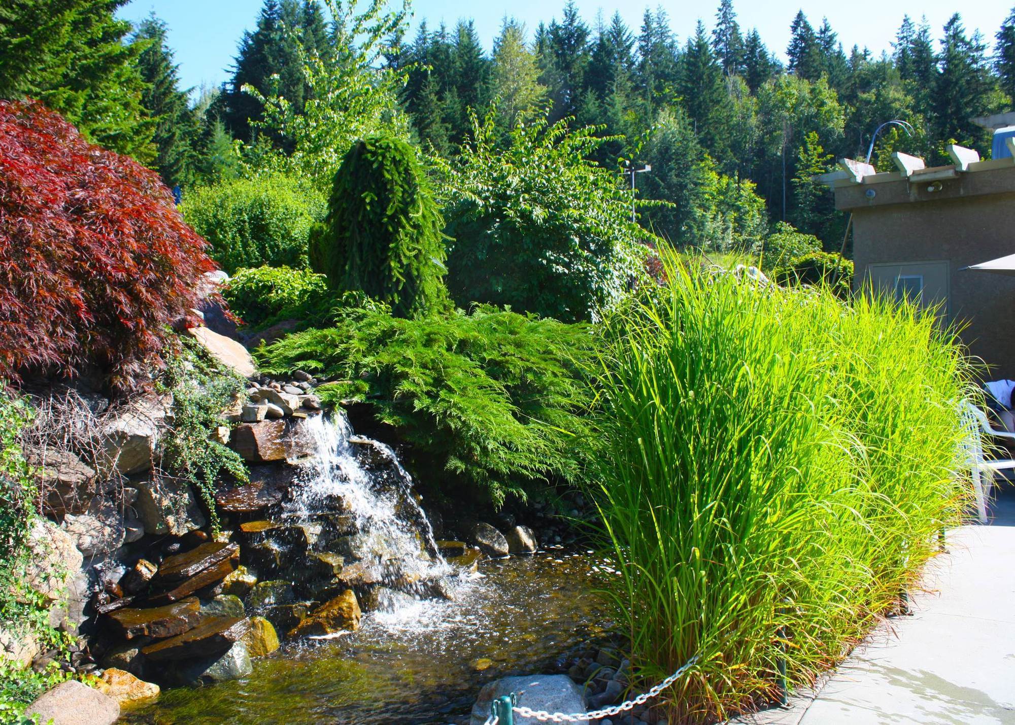 Hilltop Inn - Salmon Arm Eksteriør billede