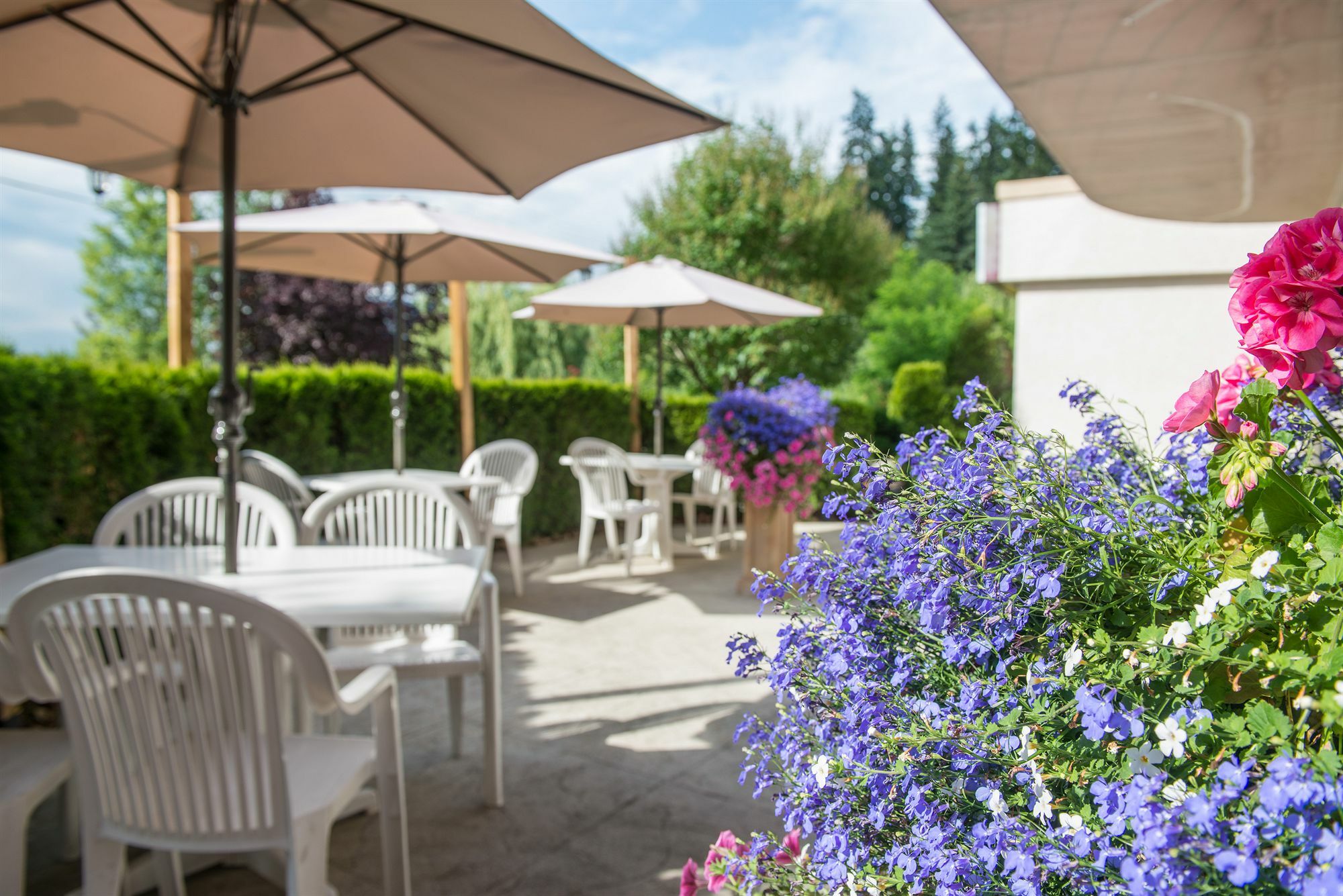 Hilltop Inn - Salmon Arm Eksteriør billede